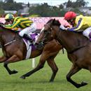 All American filly set for G1 NZ Oaks